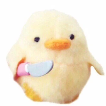Bhy