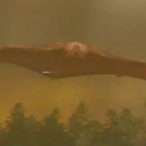 BatoGoji2_1993의 The Merged