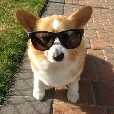 Profile image of WH