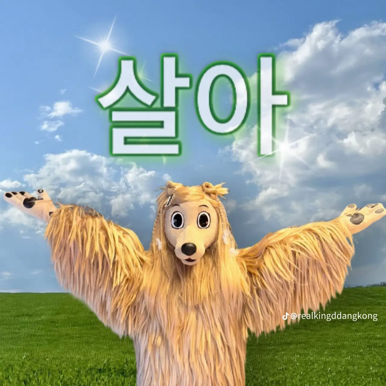 BlankZebra5054의 괴수 8호 여행