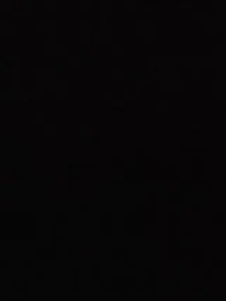 CoralShop2828의 愛猫