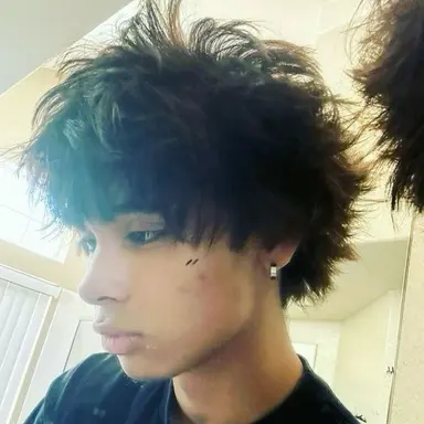 Profile image of Dion