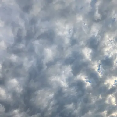 Profile image of 로렌스