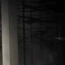 Profile image of 여우