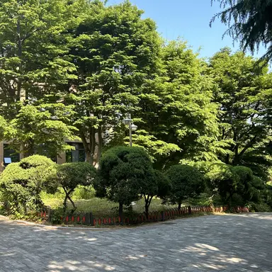 Profile image of 공룡