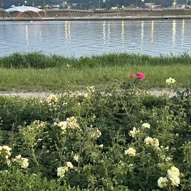 Profile image of 각별