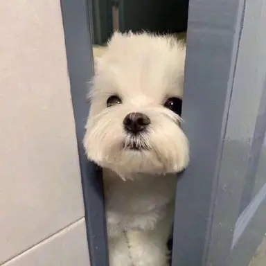 Profile image of 竹内