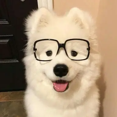 Profile image of 住岡