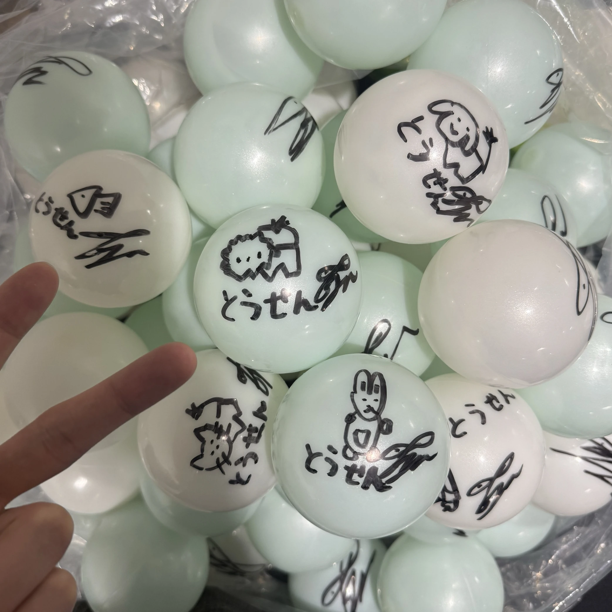 김동현