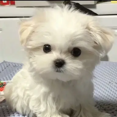 Profile image of 해나