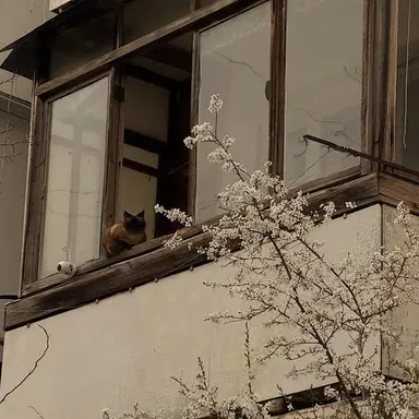Profile image of 이재결