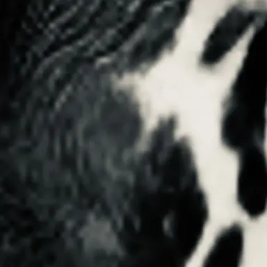 Profile image of 박진철