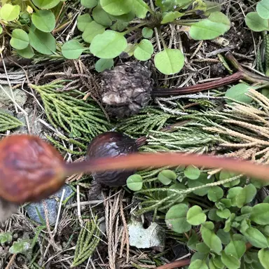 Profile image of 명 재 현