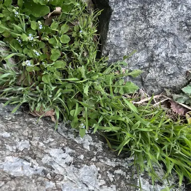 Profile image of 김 운 학