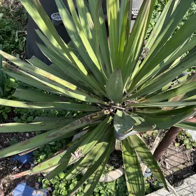 Profile image of 한 동 민