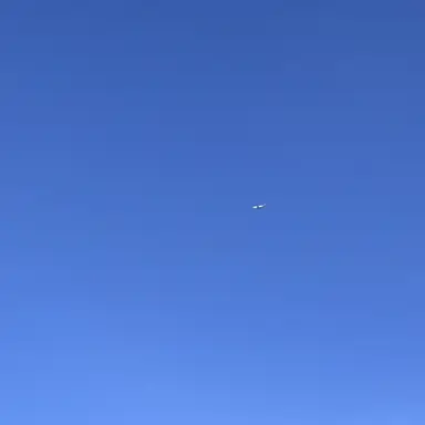 Profile image of 박 성 호