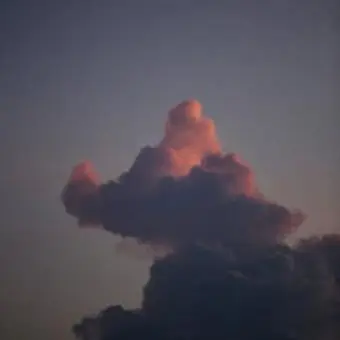 MerryCrow5203의 유진