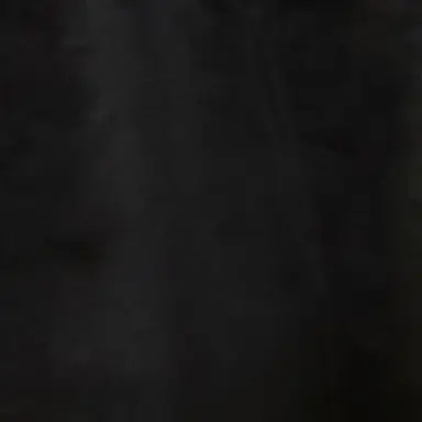 Profile image of チェ・イニ