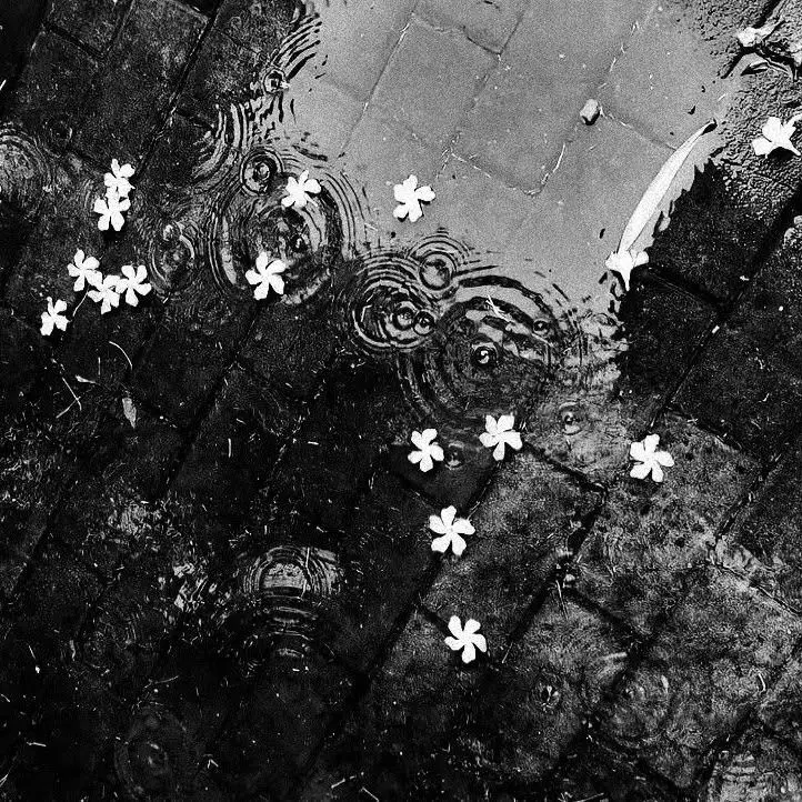 nemuri_nemui의 スパイ