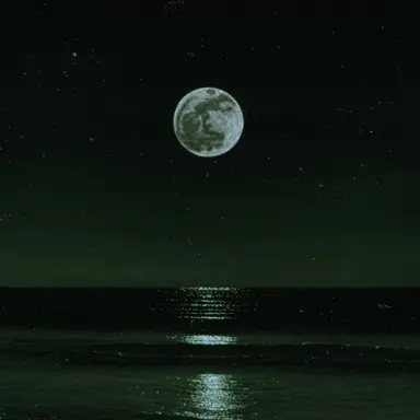 Profile image of 공룡