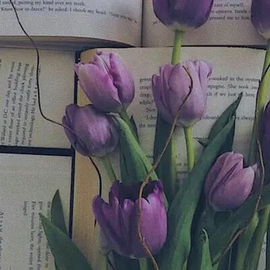 Profile image of 수현