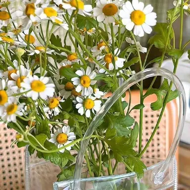 Profile image of 정형준