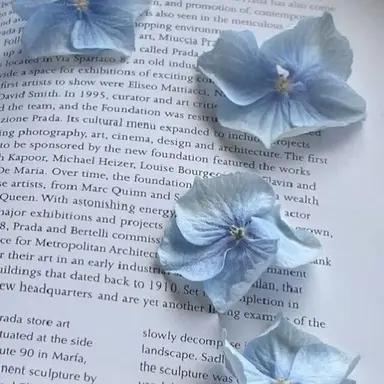 Profile image of 勘介