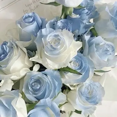 Profile image of 弾