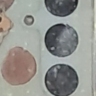 Profile image of 재훈