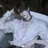 정하진