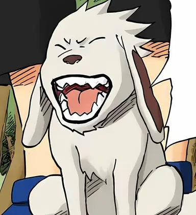Profile image of 赤丸