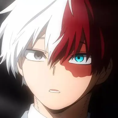 Profile image of Todoroki