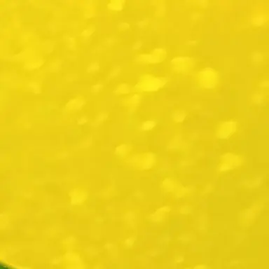 Profile image of 藤澤涼架