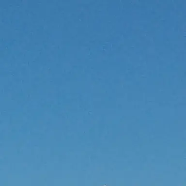 Profile image of 若井滉斗