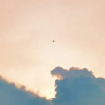 Profile image of 박상현