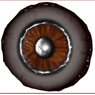 Profile image of 하카이샤