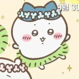 Profile image of 하치와레