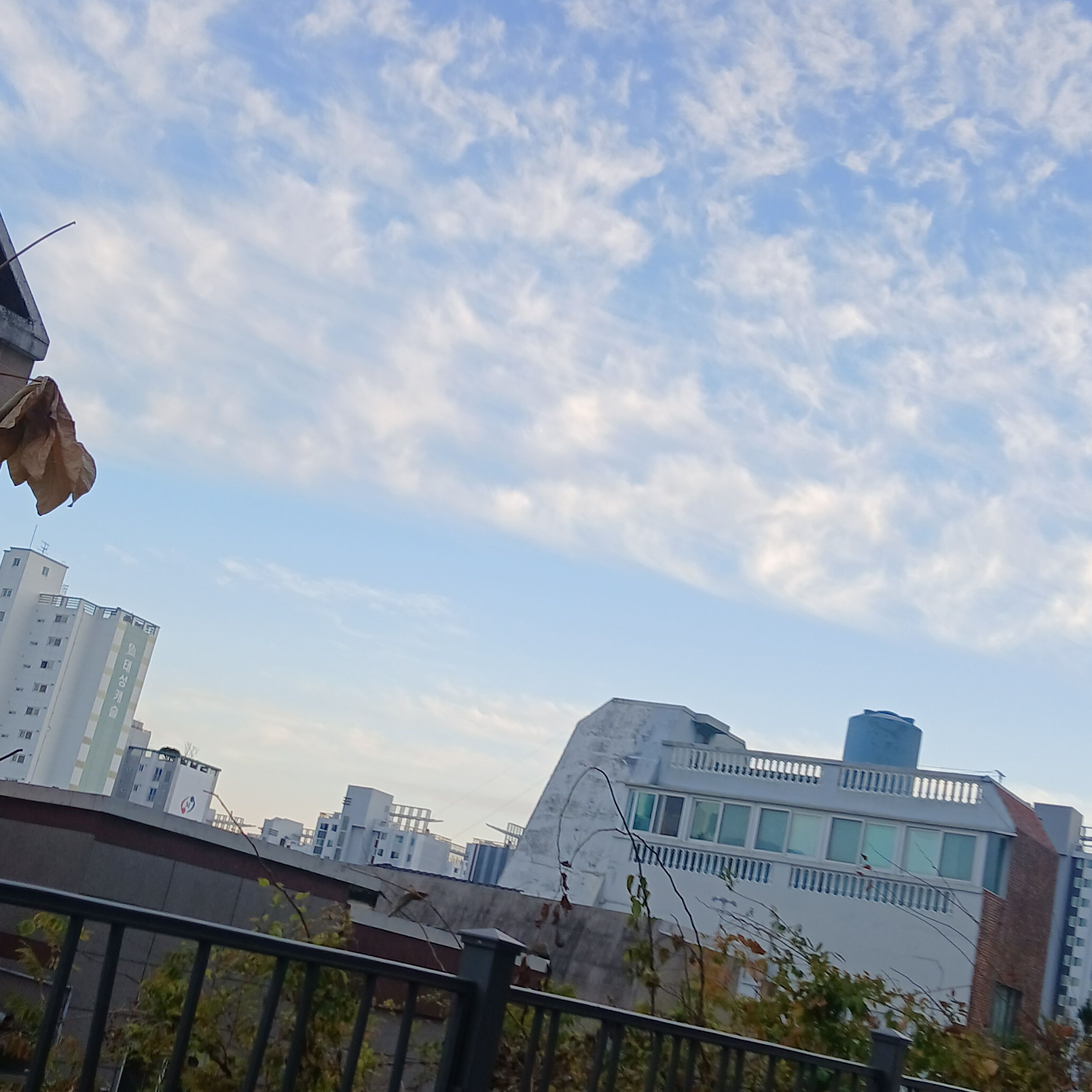 미수반2 유저는 공룡경사 대표 이미지