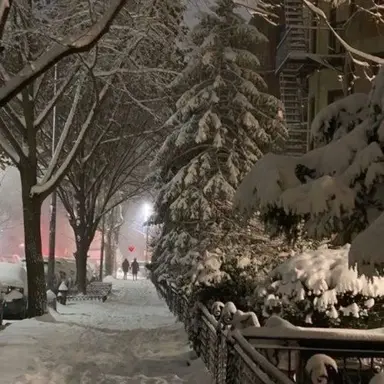 Profile image of 김_운_학