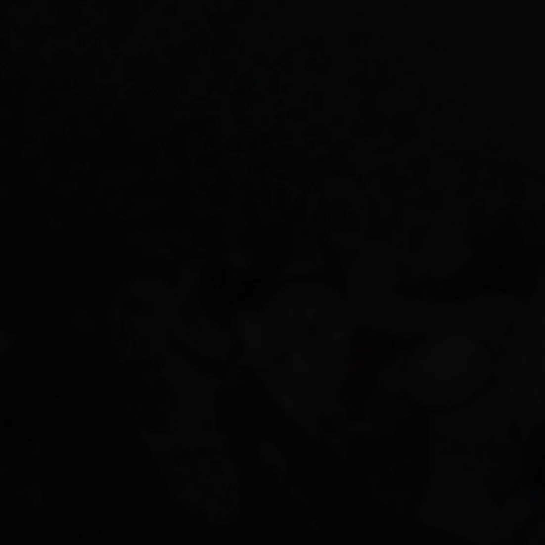 윤정한
