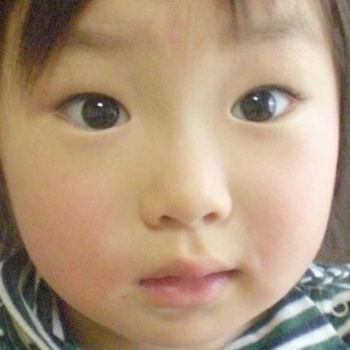 사쿠야 키우기