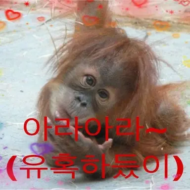 Profile image of 여우연