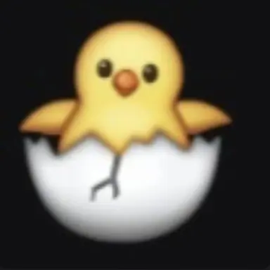 Profile image of 이나경