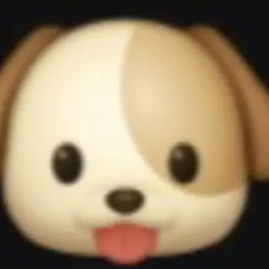 Profile image of 백지헌