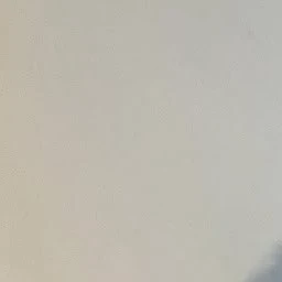 정인
