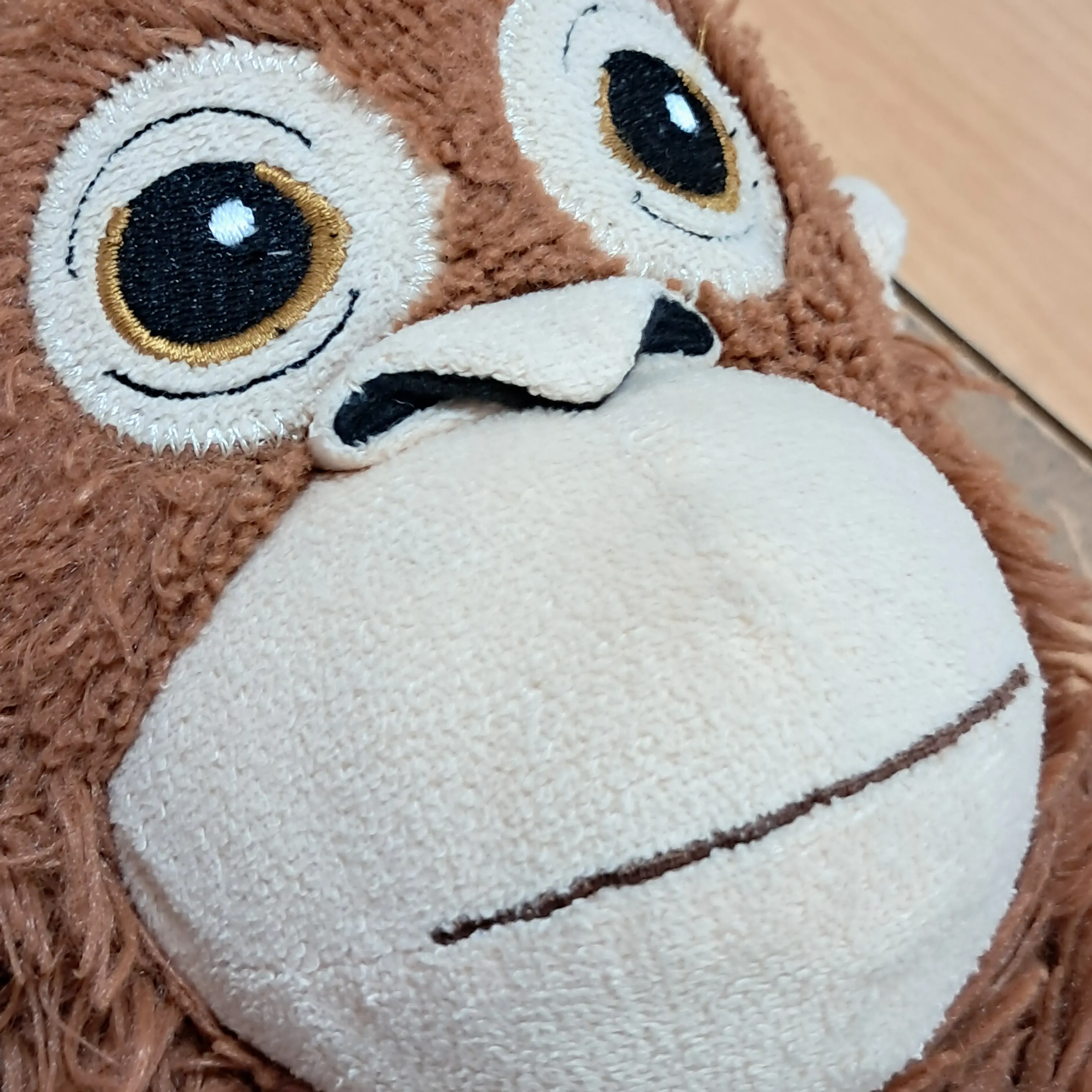 orangutan0819의 오랑우탄의 단톡방