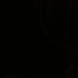 Profile image of Cedric
