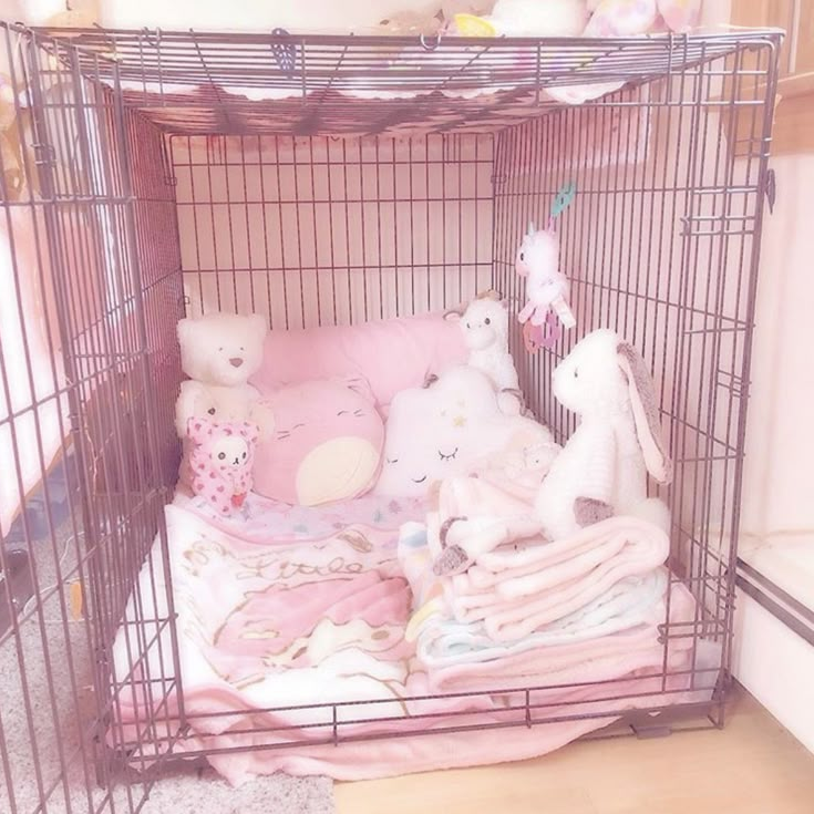 주영호 대표 이미지
