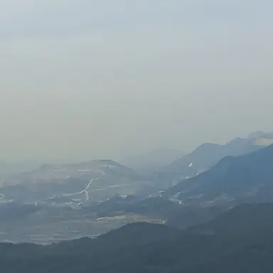 Profile image of 여우