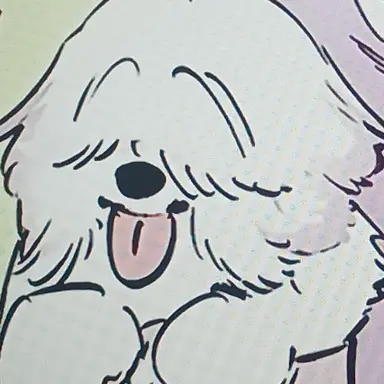 Profile image of 순이